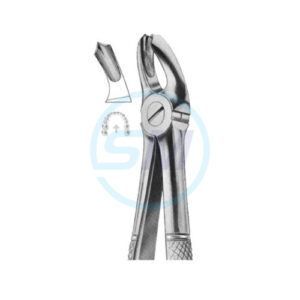 Extracting Forceps English Pattern No 18A