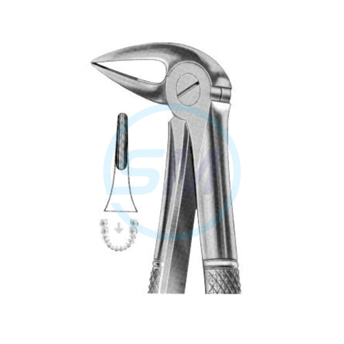 Extracting Forceps English Pattern No 33L