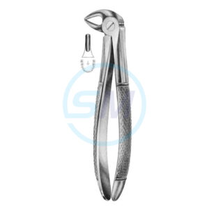 Extracting Forceps English Pattern No 33S
