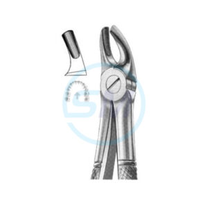 Extracting Forceps English Pattern No 39