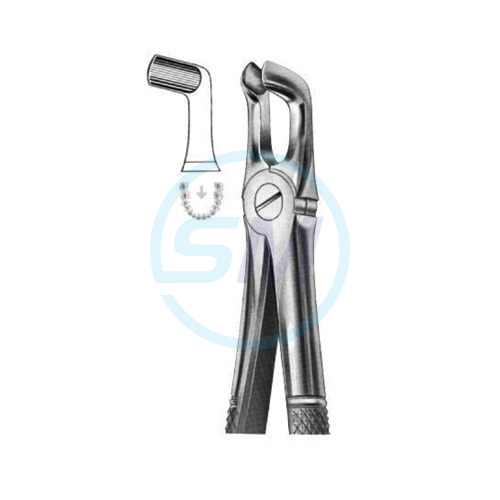 Extracting Forceps English Pattern No 79A