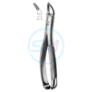 Extracting Forceps English Pattern No 100