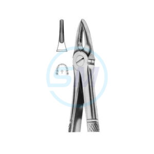 Extracting Forceps English Pattern No 113