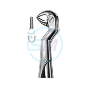 Wisdom Extracting Forceps No 2