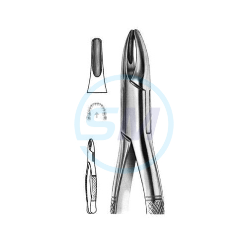 Extracting Forceps American Pattern No 01