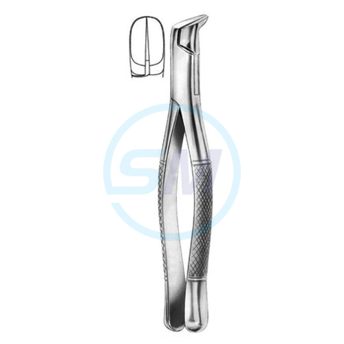 Extracting Forceps American Pattern No 06