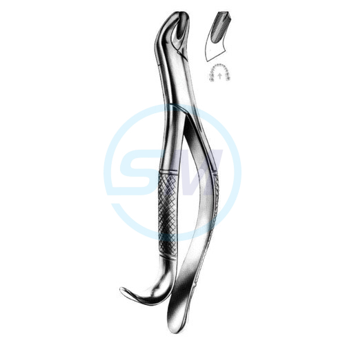 Extracting Forceps American Pattern D 02