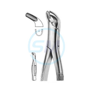 Extracting Forceps American Pattern D 08