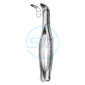 Extracting Forceps American Pattern D 09