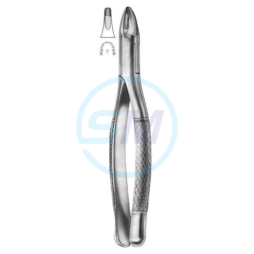 Extracting Forceps American Pattern D 10
