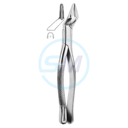 Extracting Forceps American Pattern X 01