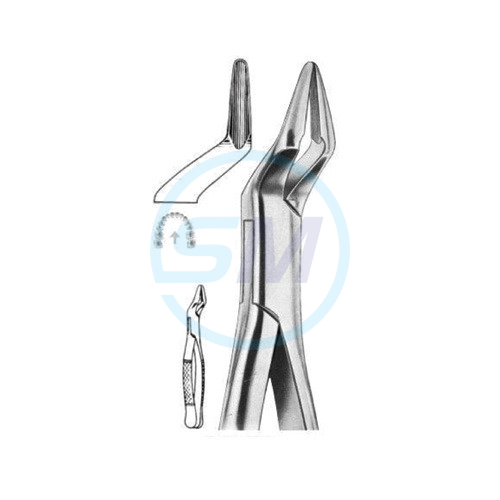 Extracting Forceps American Pattern X 02