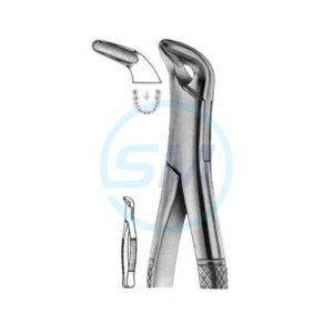 Extracting Forceps American Pattern X 03