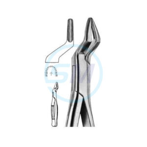 Extracting Forceps American Pattern X 04