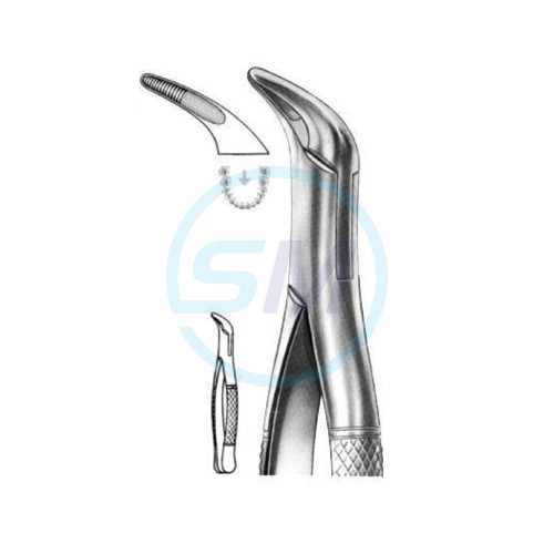 Extracting Forceps American Pattern X 05