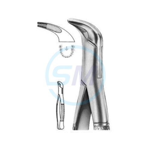 Extracting Forceps American Pattern X 06