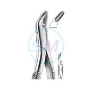 Extracting Forceps American Pattern X 10