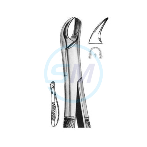 Extracting Forceps American Pattern Z 25