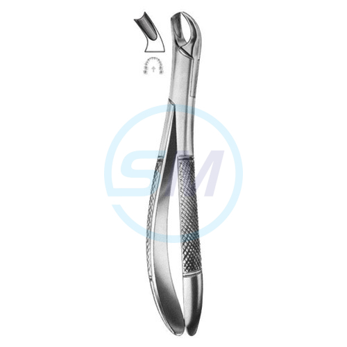 Extracting Forceps American Pattern Z 26