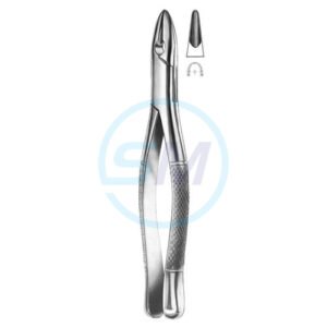 Extracting Forceps American Pattern No 02