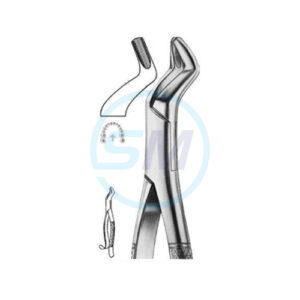 Extracting Forceps American Pattern Z 01