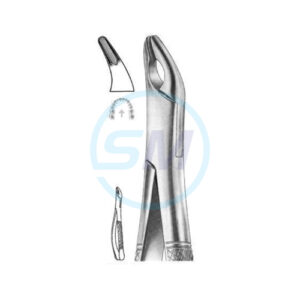 Extracting Forceps American Pattern Z 03