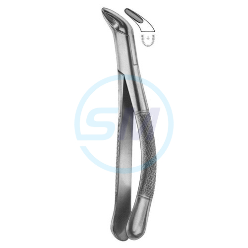 Extracting Forceps American Pattern Z 05