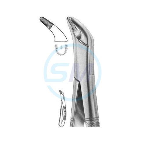 Extracting Forceps American Pattern Z 06