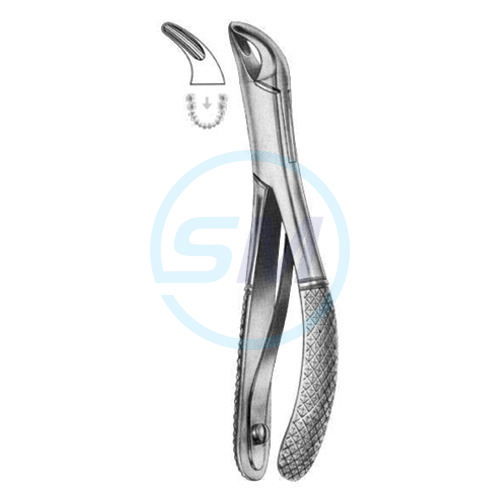 Extracting Forceps American Pattern Z 30
