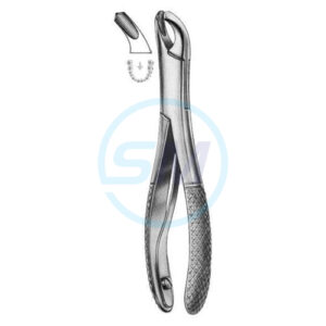 Extracting Forceps American Pattern Z 28