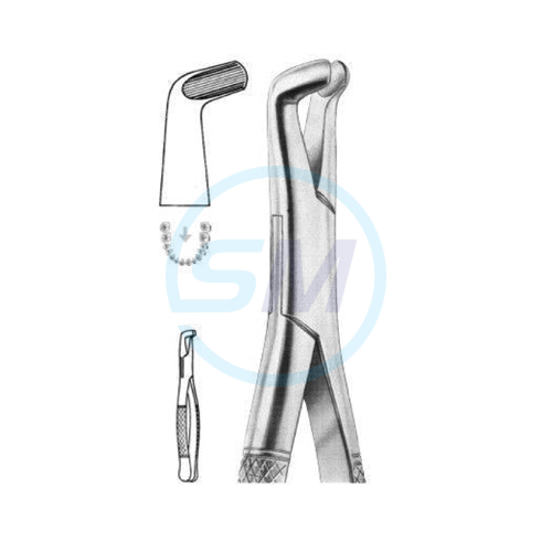 Extracting Forceps American Pattern Z 14
