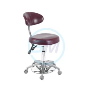 Dentist Stool with Back Support